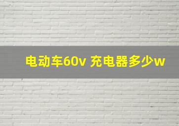 电动车60v 充电器多少w